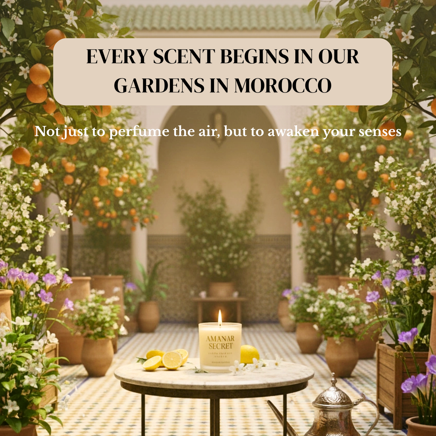 AMANAR SECRET - INSTANT CALM+