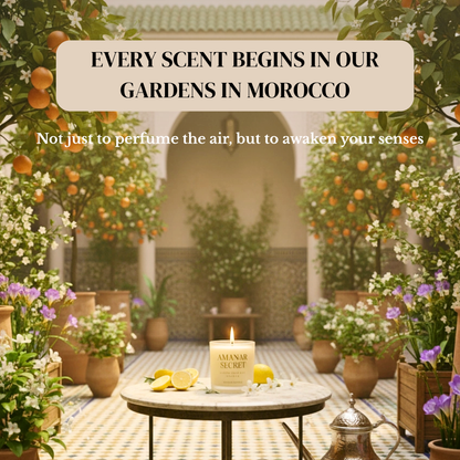 AMANAR SECRET - INSTANT CALM+