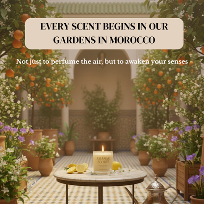 LIMITED EDITION - SOUK SPICE - Rose Cumin Cedarwood